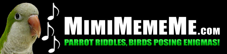 MimiMemeMe.com - Parrot Riddles, Birds Posing Enigmas!