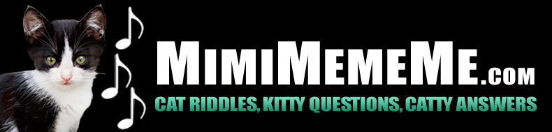 MimiMemeMe.com - Cat Riddles, Kitty Questions, Catty Answers