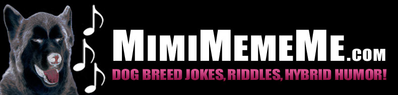 MimiMemeMe.com - Dog Breed Jokes, Riddles, Hybrid Humor!