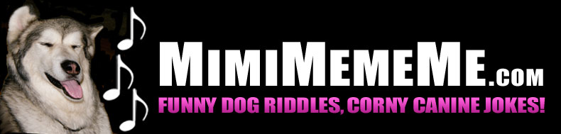 MimiMemeMe.com - Funny Dog Riddles, Corny Canine Jokes!