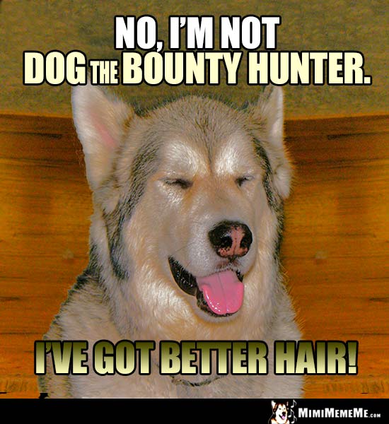 Dog Meme: "No, I'm not Dog the Bounty Hunter. I've got better hair!"