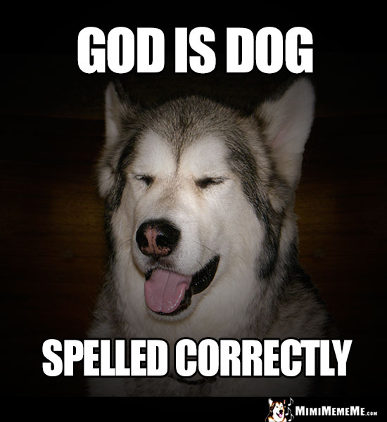 Dog Humor: God Is Dog spelled correctly