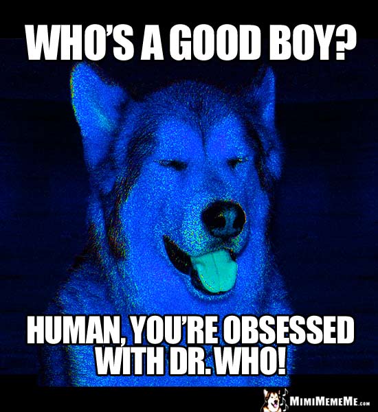 Sci-Fi Dog Humor: Who's a good boy? Human, you're obsessed with Dr. Who!