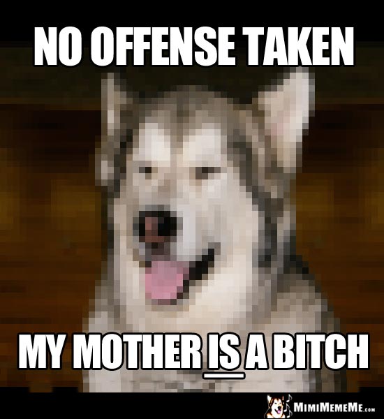 Dog Humor: No offense taken. My mother IS a bitch.