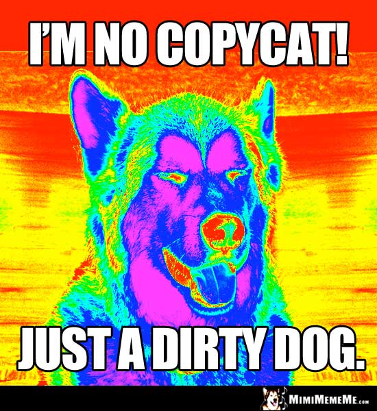 Psychelic Dog Says: I'm no copycat! Just a dirty dog.