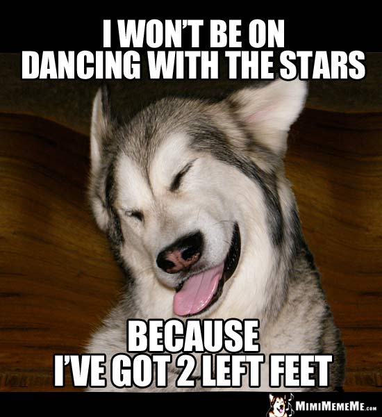 Laughing Dog Says: I won't be on Dancing With The Stars because I've got 2 left feet