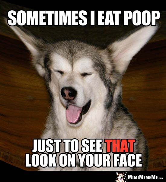 Laughing Dog Says: Sometimes I eat poop just to see that look on your face.