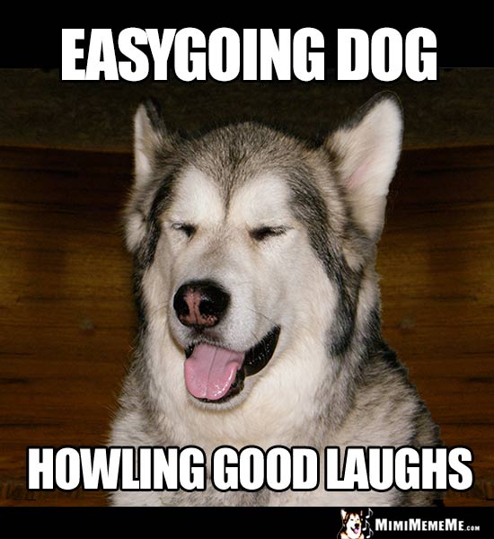 Easygoing Dog, Howling Good Laughs
