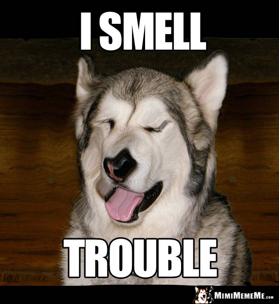 Demented Dog Says: I smell trouble.