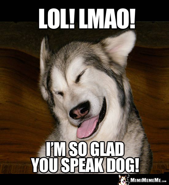 Laughing Dog Says: LOL! LMAO! I'm so glad you speak dog!