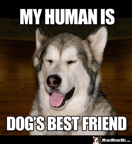 Happy Dog Says: My human is dog's best friend