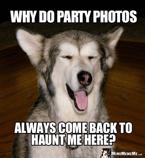 Happy Dog Asks: Why do party photos always come back to haunt me here?