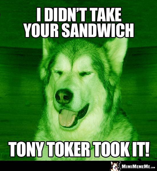 Green Dog Says: I didn't take your sandwich. Tony Toker Took It!