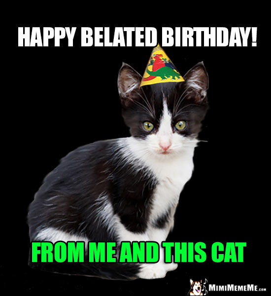 Kitten Wearing Party Hat Says: Happy belated birthday! From me and this cat.