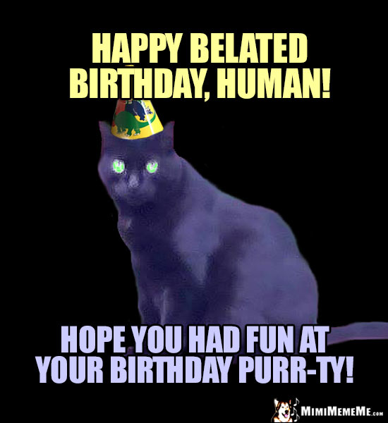 Cat in Party Hat Says: Happy Belated Birthday, Human! Hope you had fun at your birthday purr-ty!