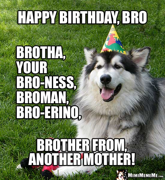 Dog in Party Hat: Happy birthday, bro, brotha, your bro-ness, broman...