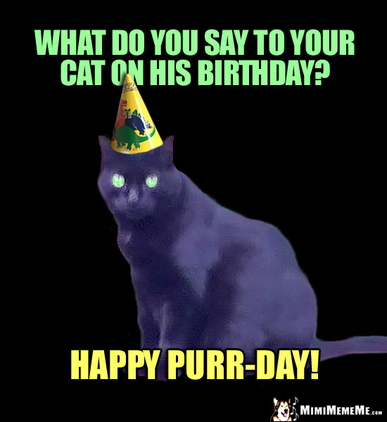 Birthday Joke: What do you say to your cat on his birthday? Happy Purr-Day!