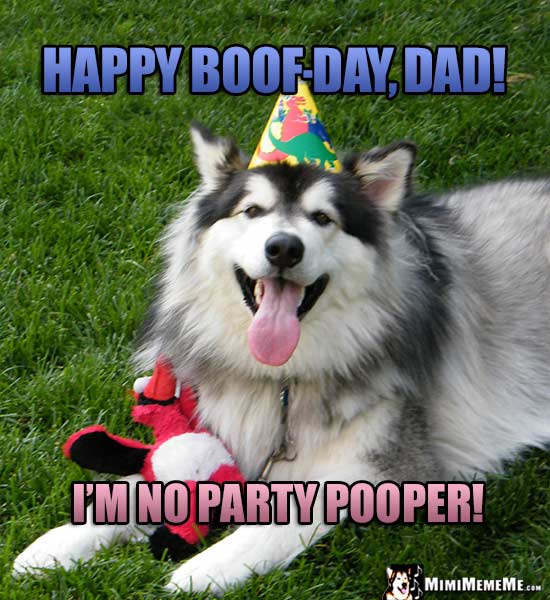 Smiling Dog in Party Hat Says: Happy Boof-Day, Dad! I'm no party pooper!