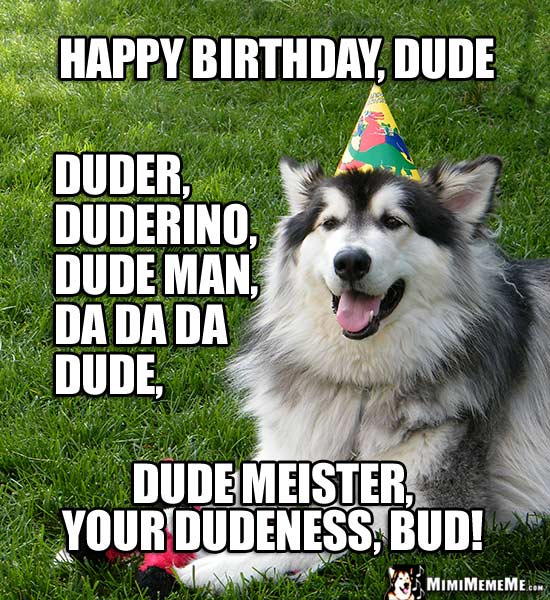 Dog in Party Hat: Happy Birthday Dude, duder, duderino, dude man...