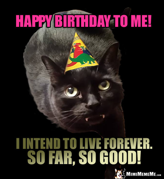Party Cat Says: Happy Birthday to Me! I intend to live forever. So far, so good!