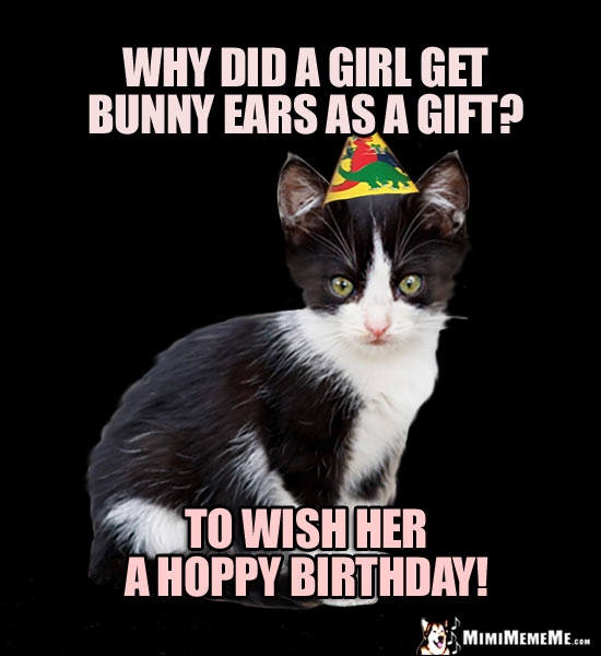 Party Kitten Asks: Why did a girl get bunny ears as a gift? To wish you a Hoppy Birthday!