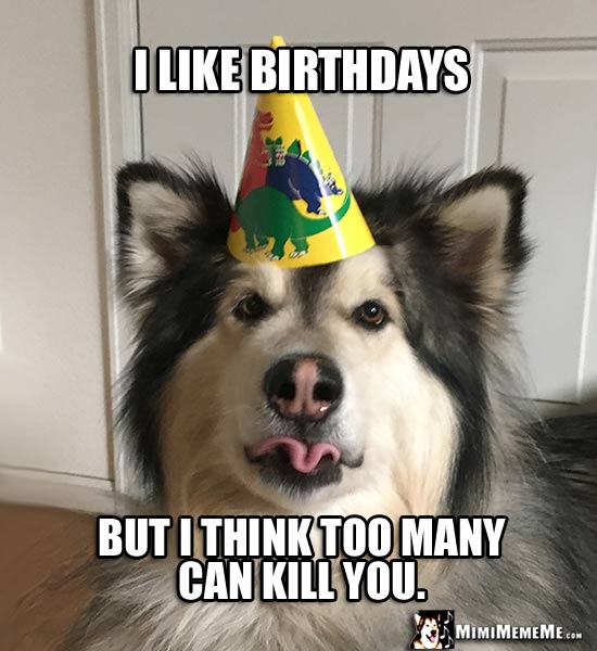 Funny Party Dog Says: I like birthdays but I think too many can kill you.