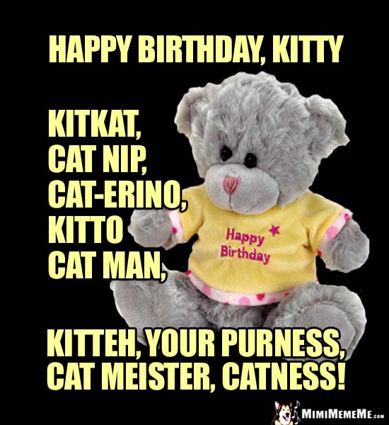 Teddy Bear Says: Happy Birthday Kitty, Kitkat, Cat-erino, Kitto, Cat Man, Cat Meister...