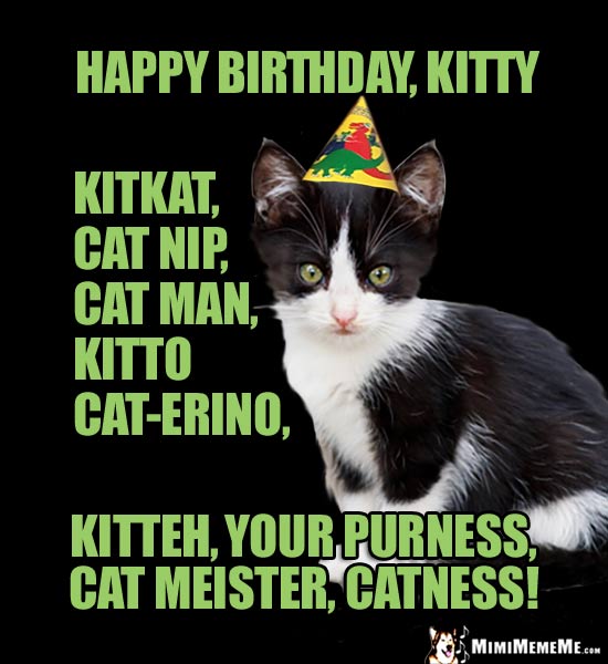 Kitten Meme: Happy Birthday Kitty, Kitkat, Cat Nip, Cat Man, Kitto, Cat-erino, Kitteh, Catness!