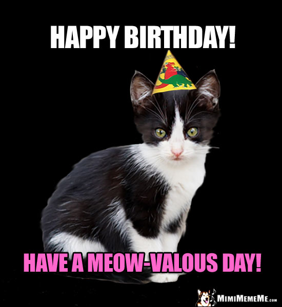 Party Kitten Says: Happy Birthday! Have a Meow-Valous Day!