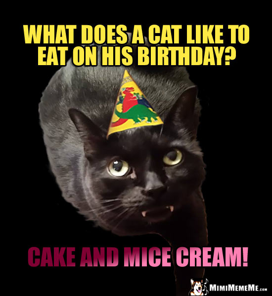 Dark Party Cat Asks: What does a cat like to eat on his birthday? Cake and Mice Cream!