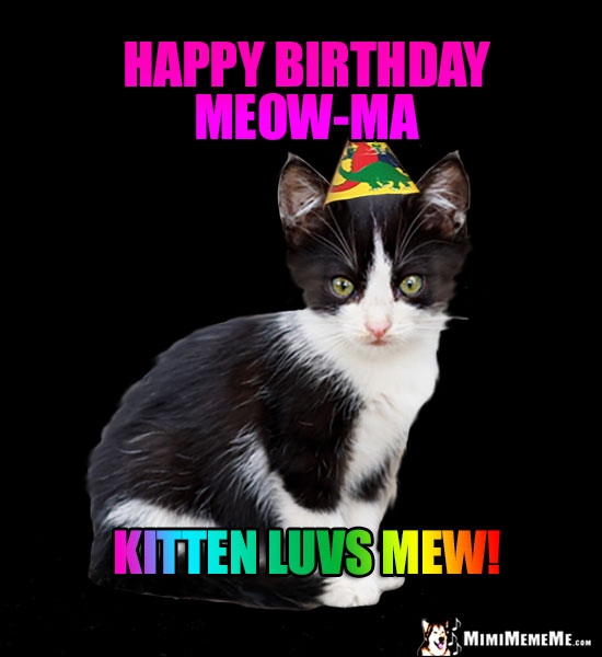 Kitten in Party Hat Says: Happy Birthday Meow-Ma. Kitten luvs mew!