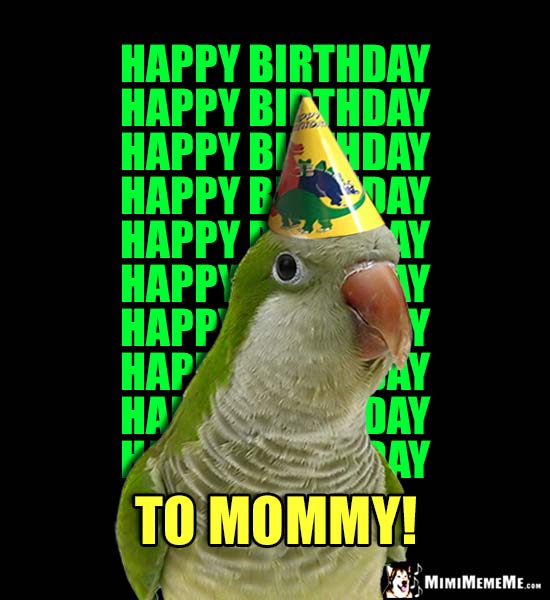 Parrot Wearing Party Hat Says Happy Birthday 10 Times... To Mommy!