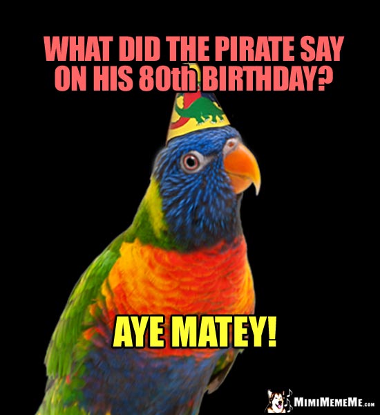 Party Parrot Joke: What did the pirate say on his 80th birthday? Aye Matey!