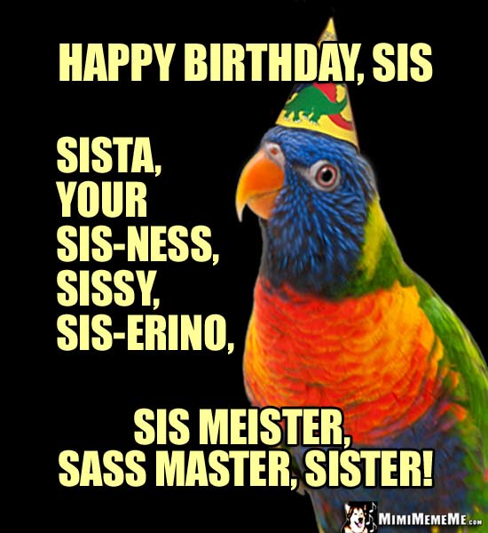 Party Parrot Says: Happy Birthday, Sis, Sista, Your Sis-ness, Sissy, Sis-erino...