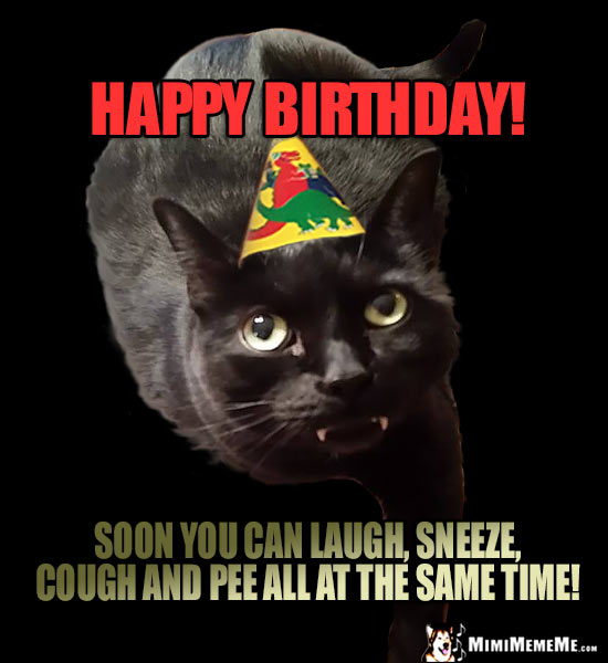 Dark Party Cat Says: Happy Birthday! Soon you can laugh, sneeze, cough, and pee all at the same time!