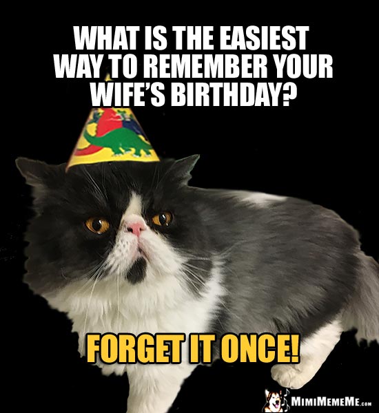 Party Cat Asks: What is the easiest way to remember your wife's birthday? Forget it once!