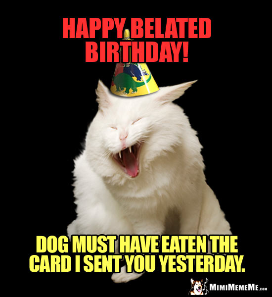 Laughing Cat Wearing Party Hat Says: Happy Belated Birthday! Dog must have eaten the card I sent you yesterday.