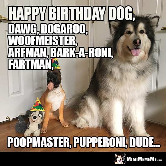 Party Dogs: Happy Birthday Dog, Dawg, Dogaroo, Woofmeister, Arfman...