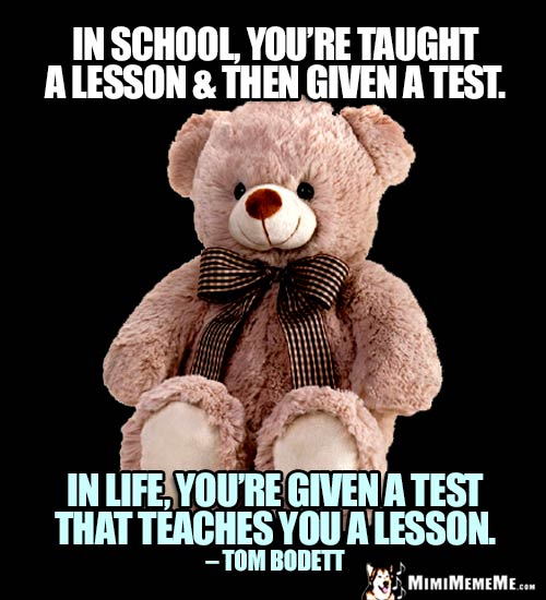 Teddy Bear Quote: In school, you're taught a lesson & then given a test. In life, you're given a test that teaches you a lesson. - Tom Bodett