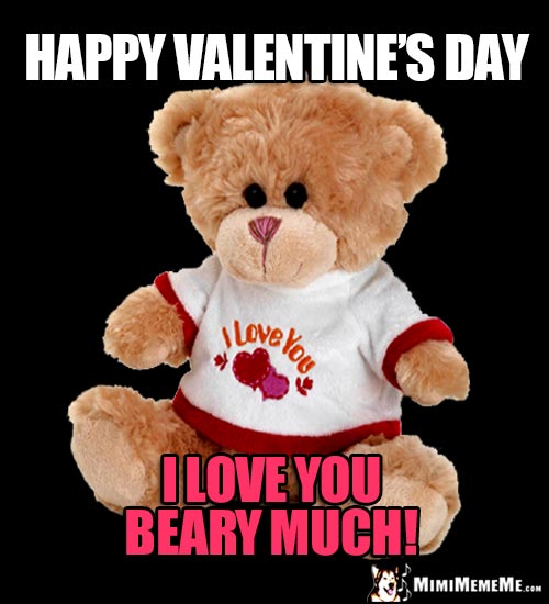 Teddy Bear Says: Happy Valentine's Day. I love you beary much!