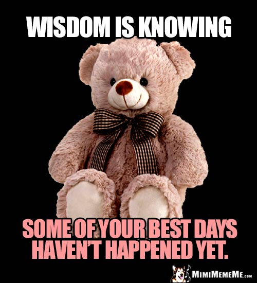 Wise Teddy Bear Says: Wisdom is knowing some of your best days haven't happened yet.