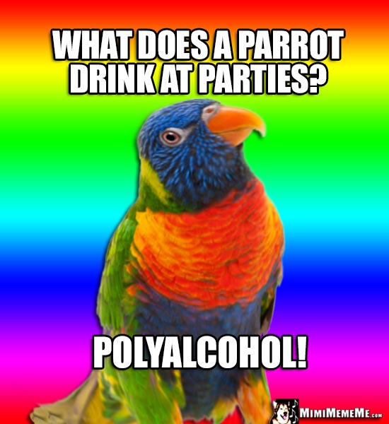 Parrot Humor: What does a parrot drink at parties? Polyalcohol!
