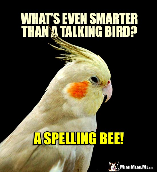 Smart Parrot Riddle: What's even smarter than a talking bird? A spelling bee!