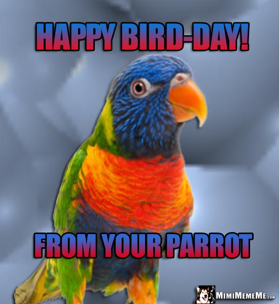 Talking Bird Says: Happy Bird-Day! From your parrot
