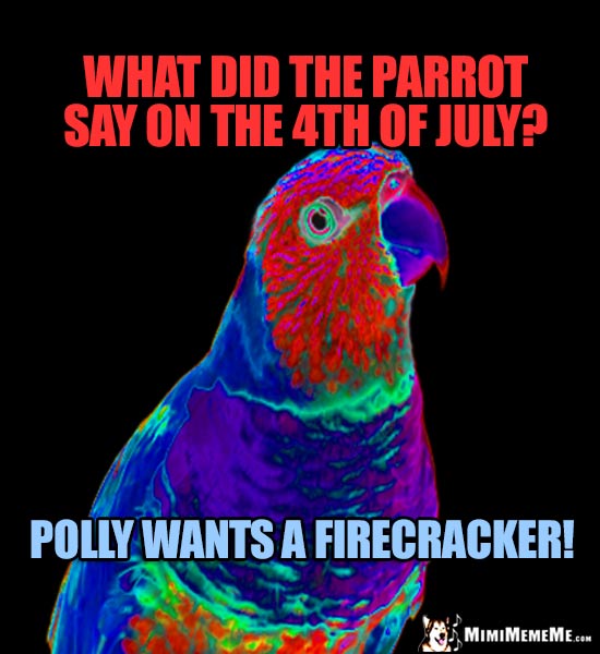 Parrot Joke: What did the parrot say on the 4th of July? Polly wants a firecracker!