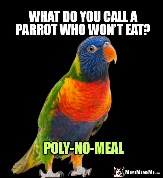 Skinny Parrot Asks: What do you call a parrot who won't eat? Poly-No-Meal
