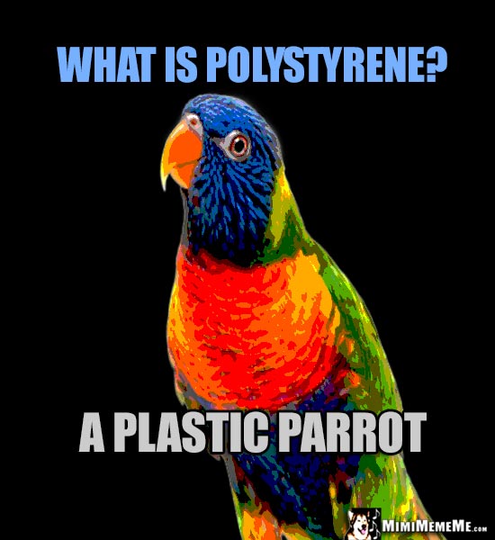 Parrot Humor: What is Polystyrene? A plastic parrot