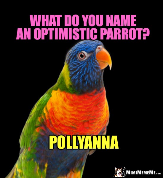 Parrot Riddle: What do you name an optimistic parrot? Pollyanna