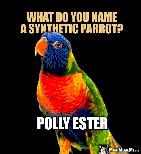 Parrot Jokes: What do you name a synthetic parrot? Polly Ester