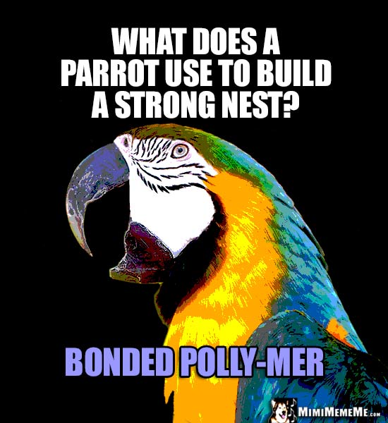 Macaw Asks: What does a parrot use to build a strong nest? Bonded Polly-Mer